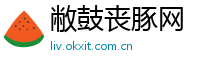 敝鼓丧豚网